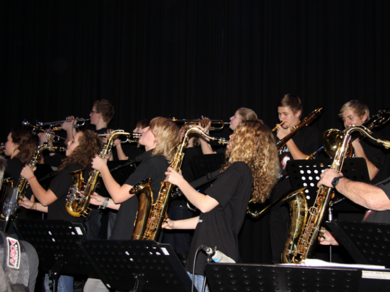 Muziekavond Fedde Schurer